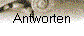 Antworten