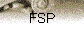 FSP