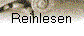 Reinlesen
